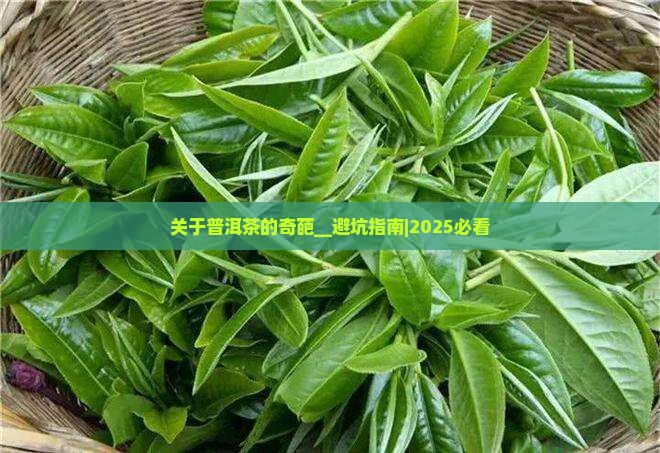 关于普洱茶的奇葩事件 关于普洱茶的奇葩事件