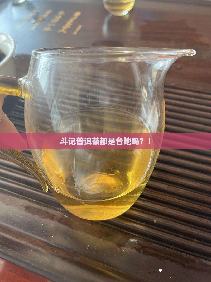 斗记普洱茶都是台地吗