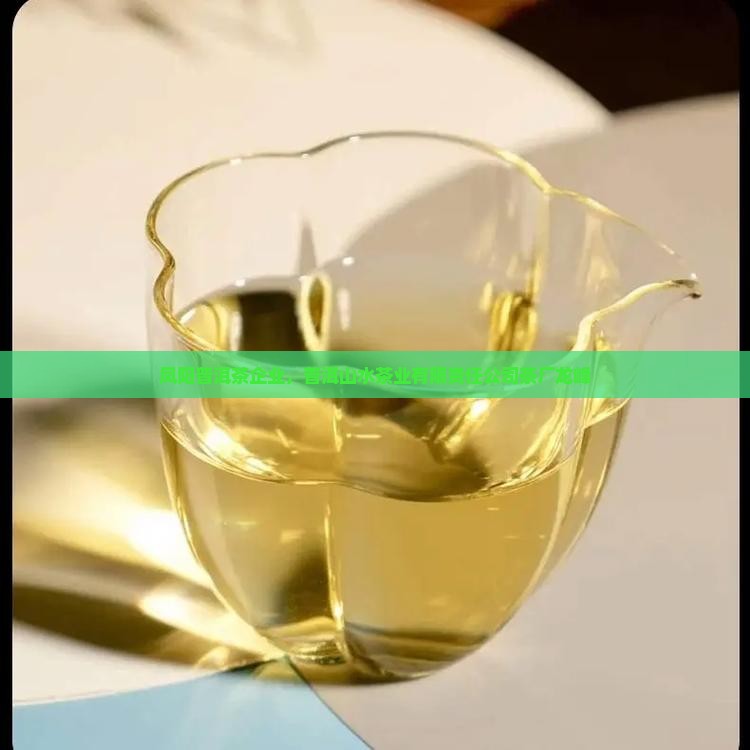 凤阳普洱茶品牌