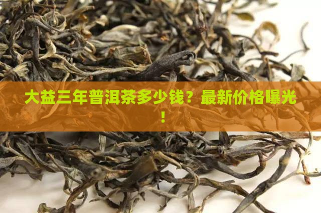 大益三年普洱茶多少钱