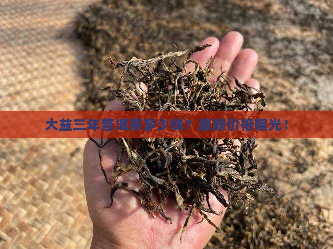 大益三年普洱茶多少钱