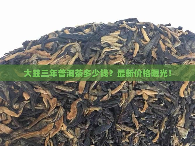 大益三年普洱茶多少钱
