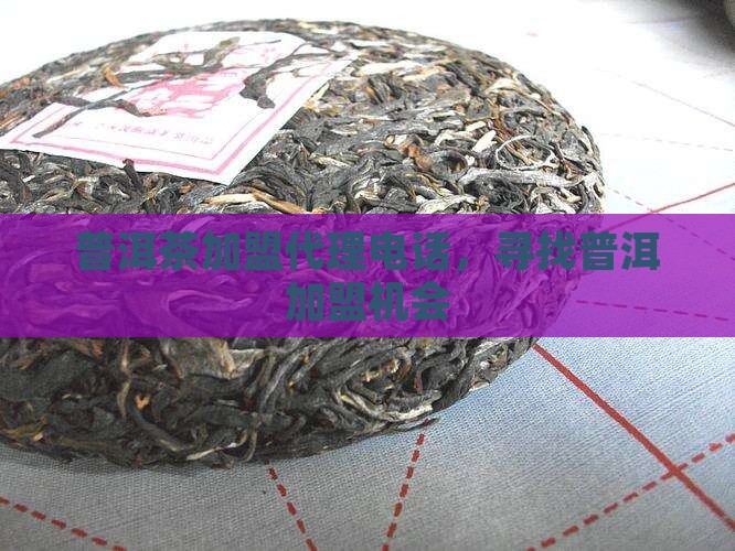 宁夏普洱茶加盟代理电话