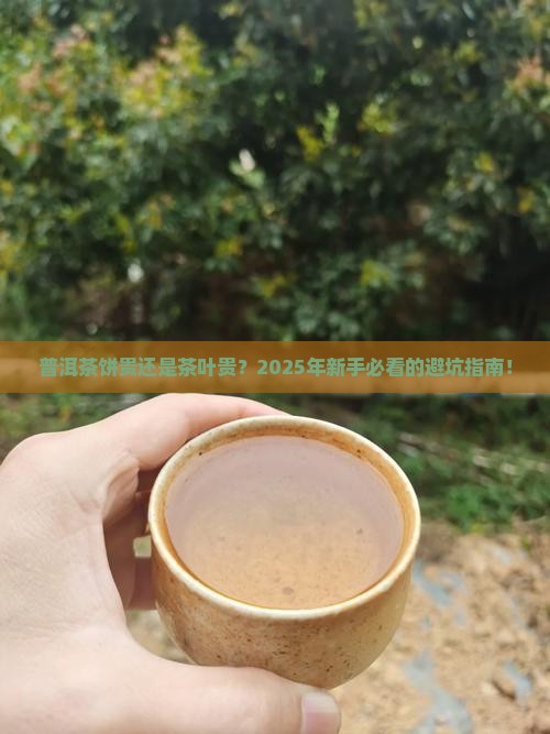 普洱茶饼贵还是茶叶贵好