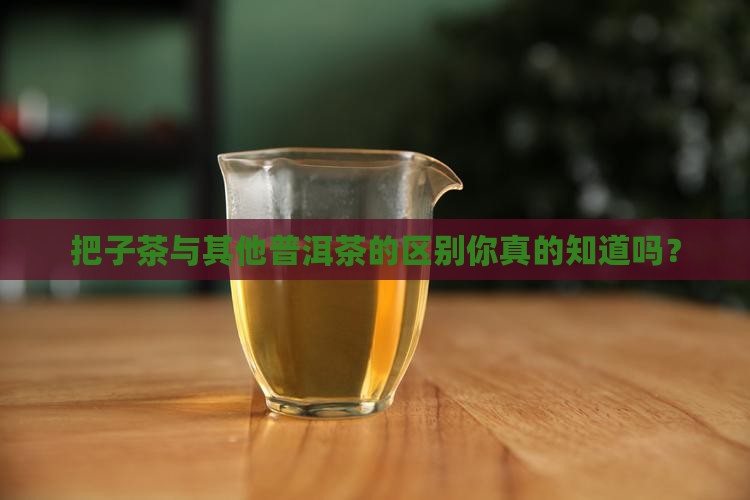 把子茶与其他普洱茶的区别