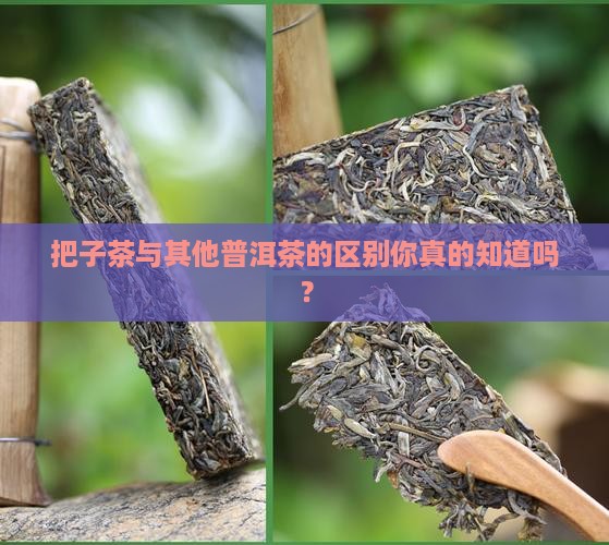 把子茶与其他普洱茶的区别