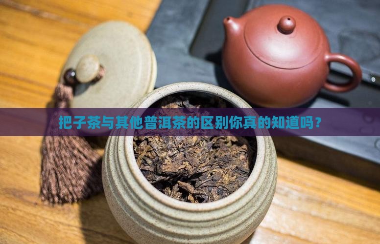 把子茶与其他普洱茶的区别