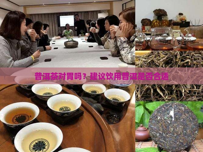 熟普洱茶对胃粘膜好吗能吃吗