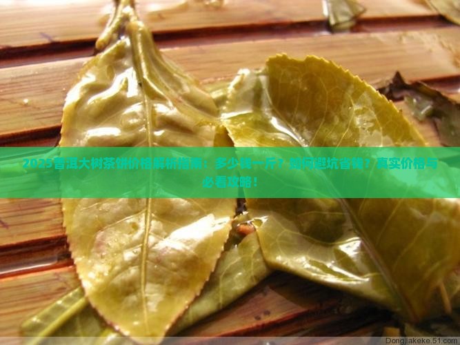 普洱大树茶饼多少钱