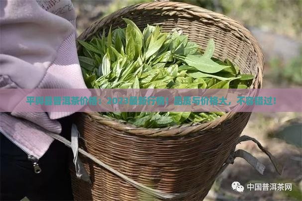 平舆县普洱茶价格