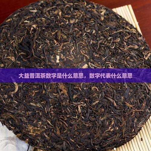 大益普洱茶数字是什么意思