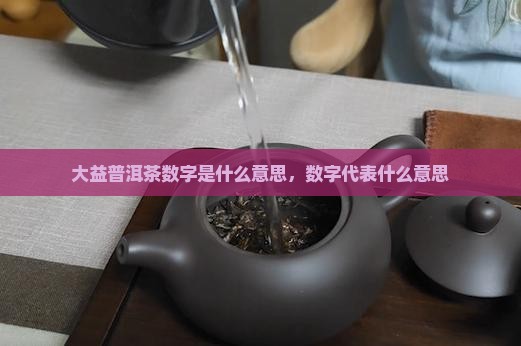 大益普洱茶数字是什么意思