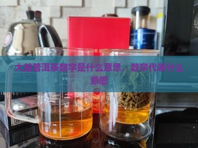 大益普洱茶数字是什么意思