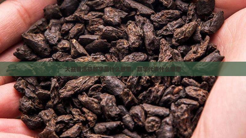 大益普洱茶数字是什么意思