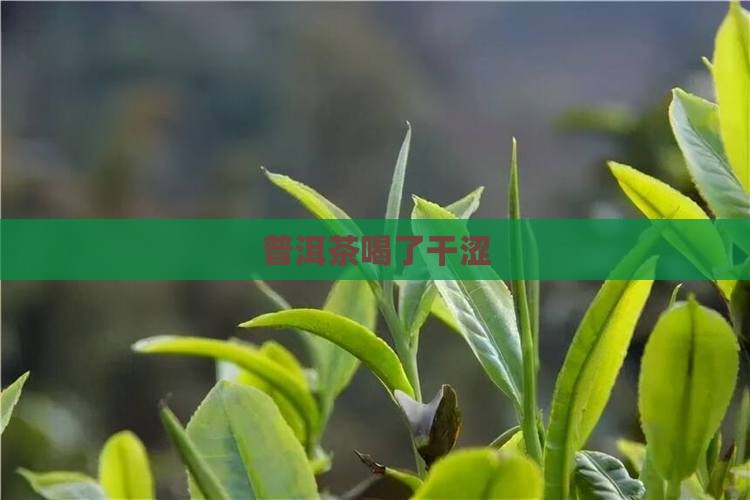 普洱茶喝了干涩
