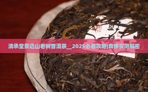 清承堂景迈山老树普洱茶