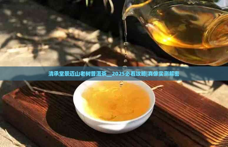 清承堂景迈山老树普洱茶