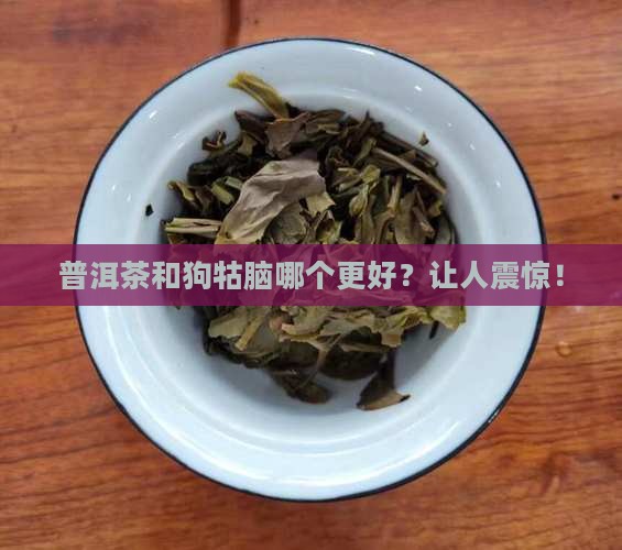 普洱茶和狗牯脑