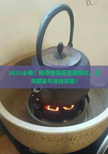 糯香普洱茶里可以泡枸杞吗