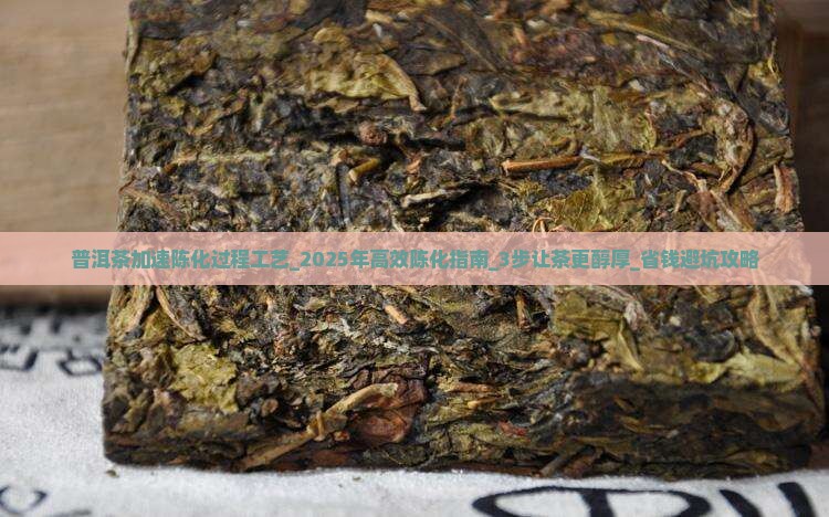 普洱茶加速陈化过程工艺