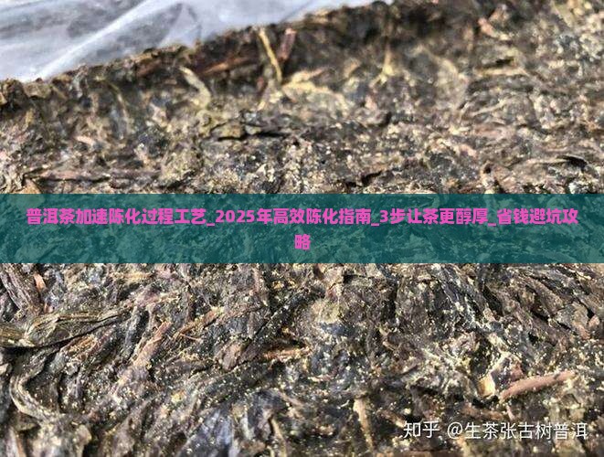 普洱茶加速陈化过程工艺