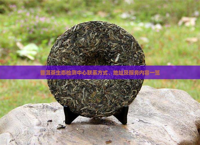 普洱茶生态检测中心联系方式、地址及服务内容一览
