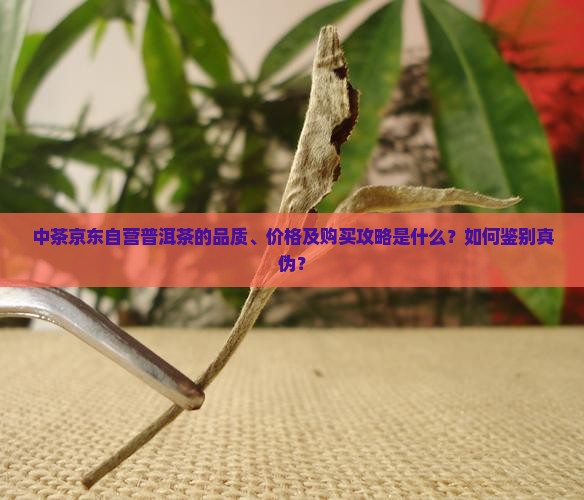 中茶京东自营普洱茶的品质、价格及购买攻略是什么？如何鉴别真伪？