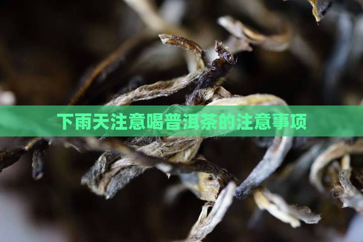 下雨天注意喝普洱茶的注意事项