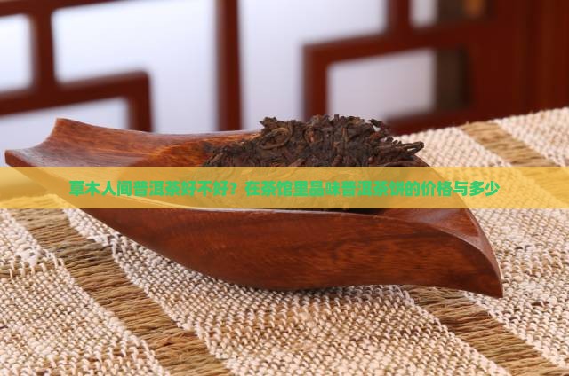 草木人间普洱茶好不好？在茶馆里品味普洱茶饼的价格与多少