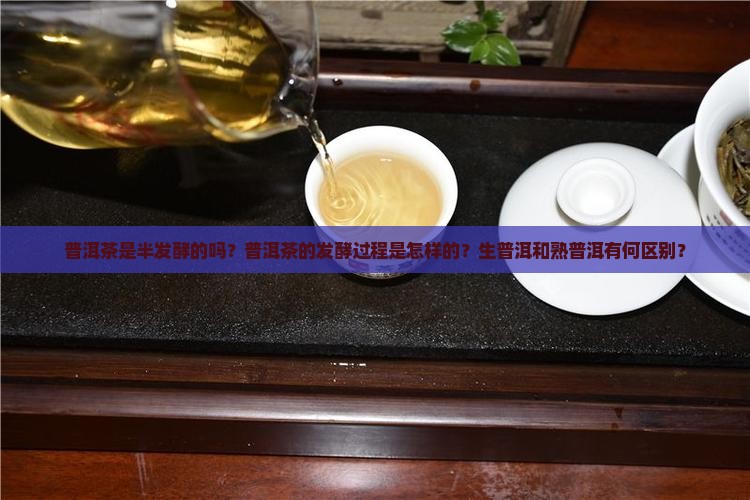 普洱茶是半发酵的吗？普洱茶的发酵过程是怎样的？生普洱和熟普洱有何区别？