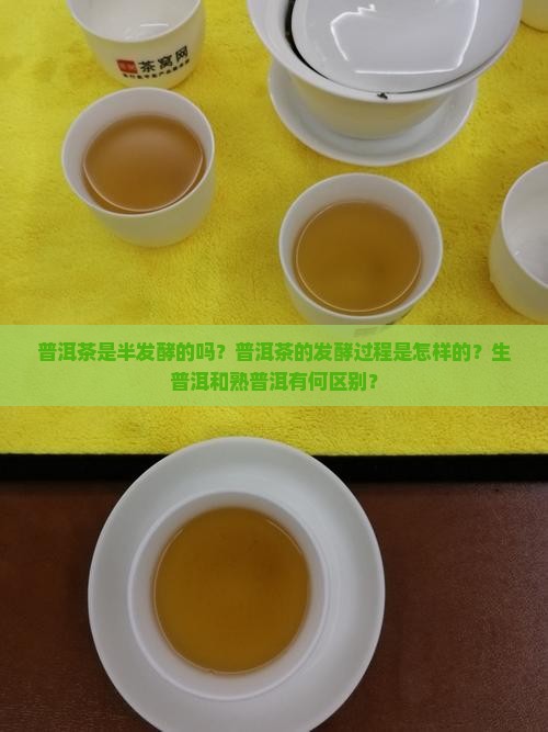 普洱茶是半发酵的吗？普洱茶的发酵过程是怎样的？生普洱和熟普洱有何区别？