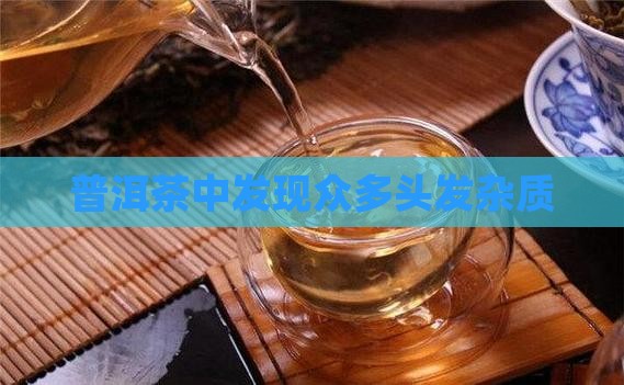 普洱茶中发现众多头发杂质
