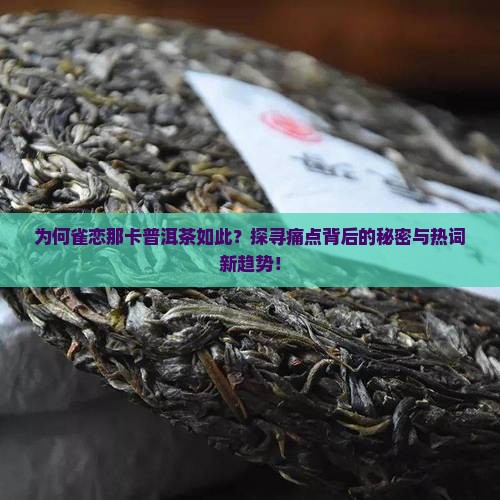 为何雀恋那卡普洱茶如此？探寻痛点背后的秘密与热词新趋势！
