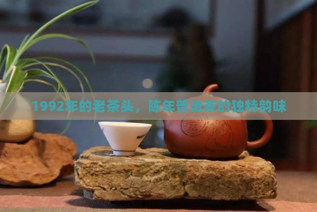 1992年的老茶头，陈年普洱茶的独特韵味