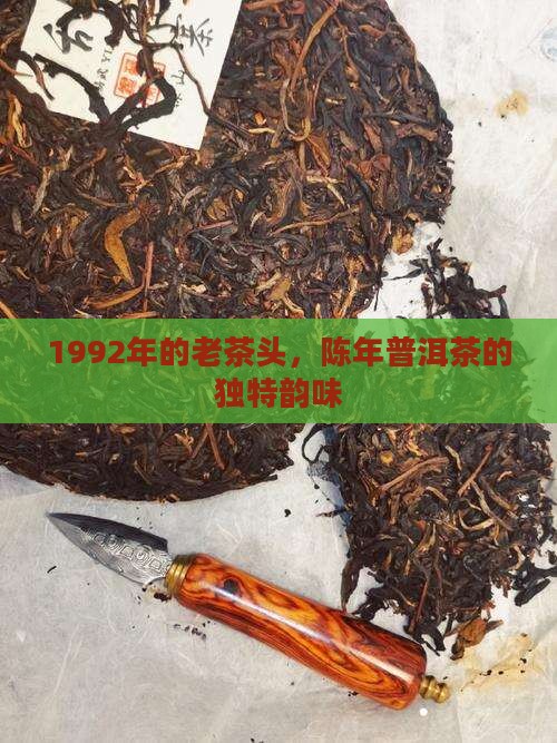 1992年的老茶头，陈年普洱茶的独特韵味