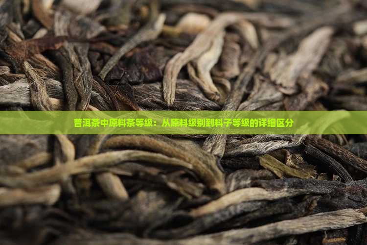 普洱茶中原料茶等级：从原料级别到料子等级的详细区分