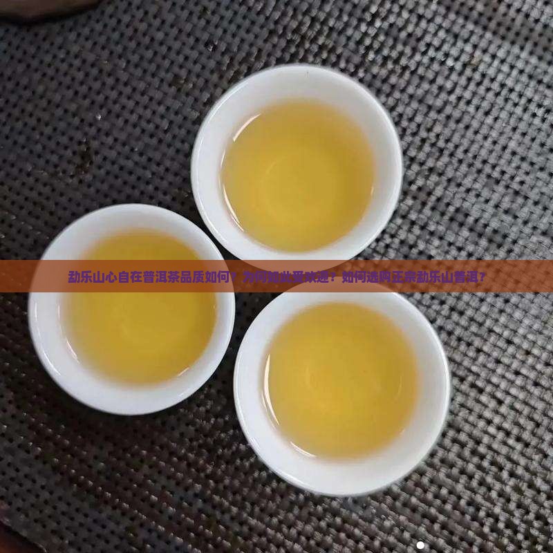勐乐山心自在普洱茶品质如何？为何如此受欢迎？如何选购正宗勐乐山普洱？