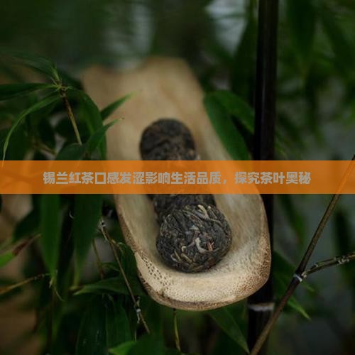 锡兰红茶口感发涩影响生活品质，探究茶叶奥秘