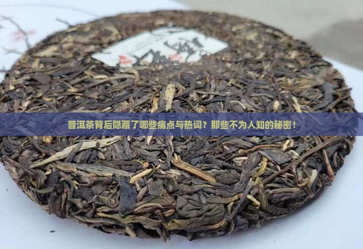 普洱茶背后隐藏了哪些痛点与热词？那些不为人知的秘密！