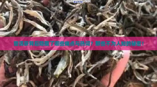 普洱茶背后隐藏了哪些痛点与热词？那些不为人知的秘密！