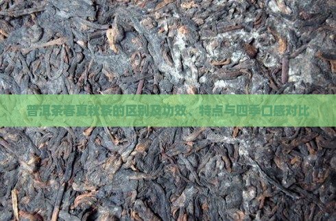 普洱茶春夏秋茶的区别及功效、特点与四季口感对比
