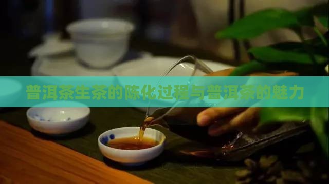 普洱茶生茶的陈化过程与普洱茶的魅力