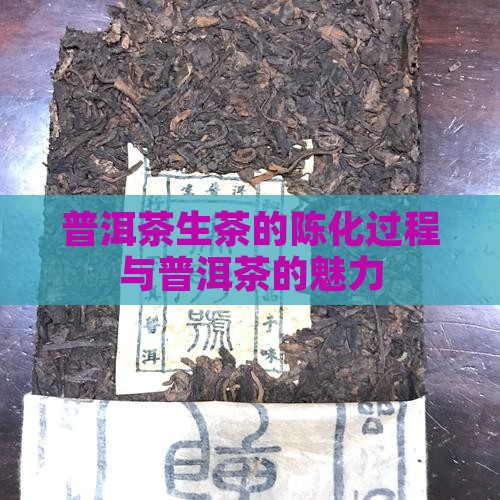 普洱茶生茶的陈化过程与普洱茶的魅力