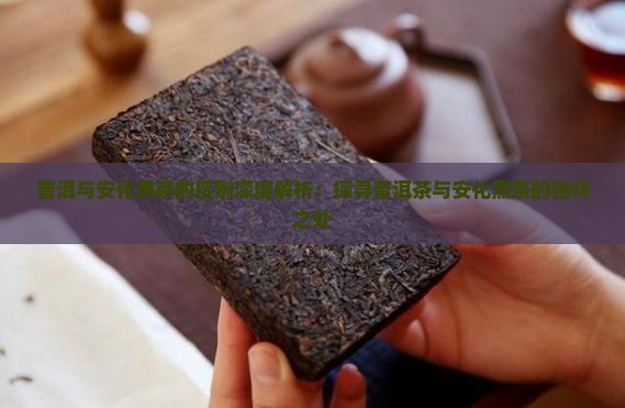普洱与安化黑茶的区别深度解析：探寻普洱茶与安化黑茶的独特之处