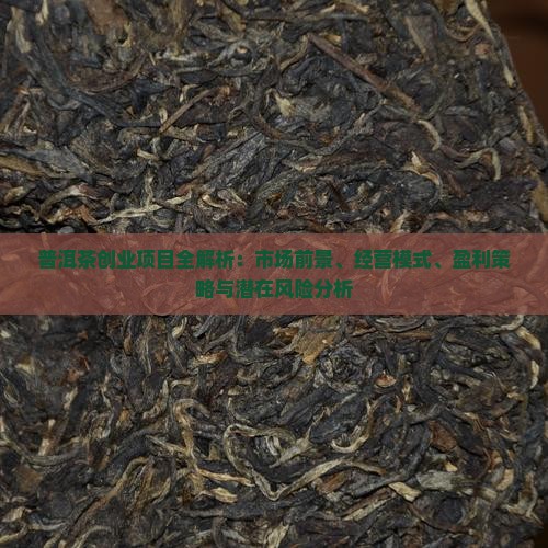 普洱茶创业项目全解析：市场前景、经营模式、盈利策略与潜在风险分析