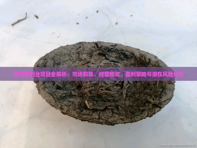 普洱茶创业项目全解析：市场前景、经营模式、盈利策略与潜在风险分析