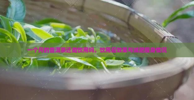 一个月的普洱茶还能饮用吗，饮用后效果与减肥瘦身情况