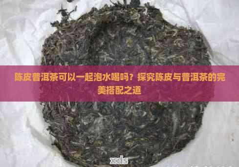 陈皮普洱茶可以一起泡水喝吗?探究陈皮与普洱茶的完美搭配之道 陈皮普洱茶可以一起泡水喝吗?探究陈皮与普洱茶的完美搭配之道