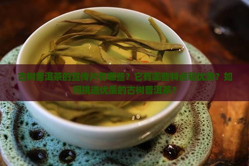 古树普洱茶的宣传片有哪些？它有哪些特点和优势？如何挑选优质的古树普洱茶？