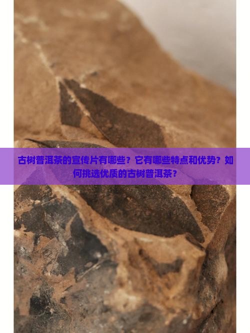 古树普洱茶的宣传片有哪些？它有哪些特点和优势？如何挑选优质的古树普洱茶？
